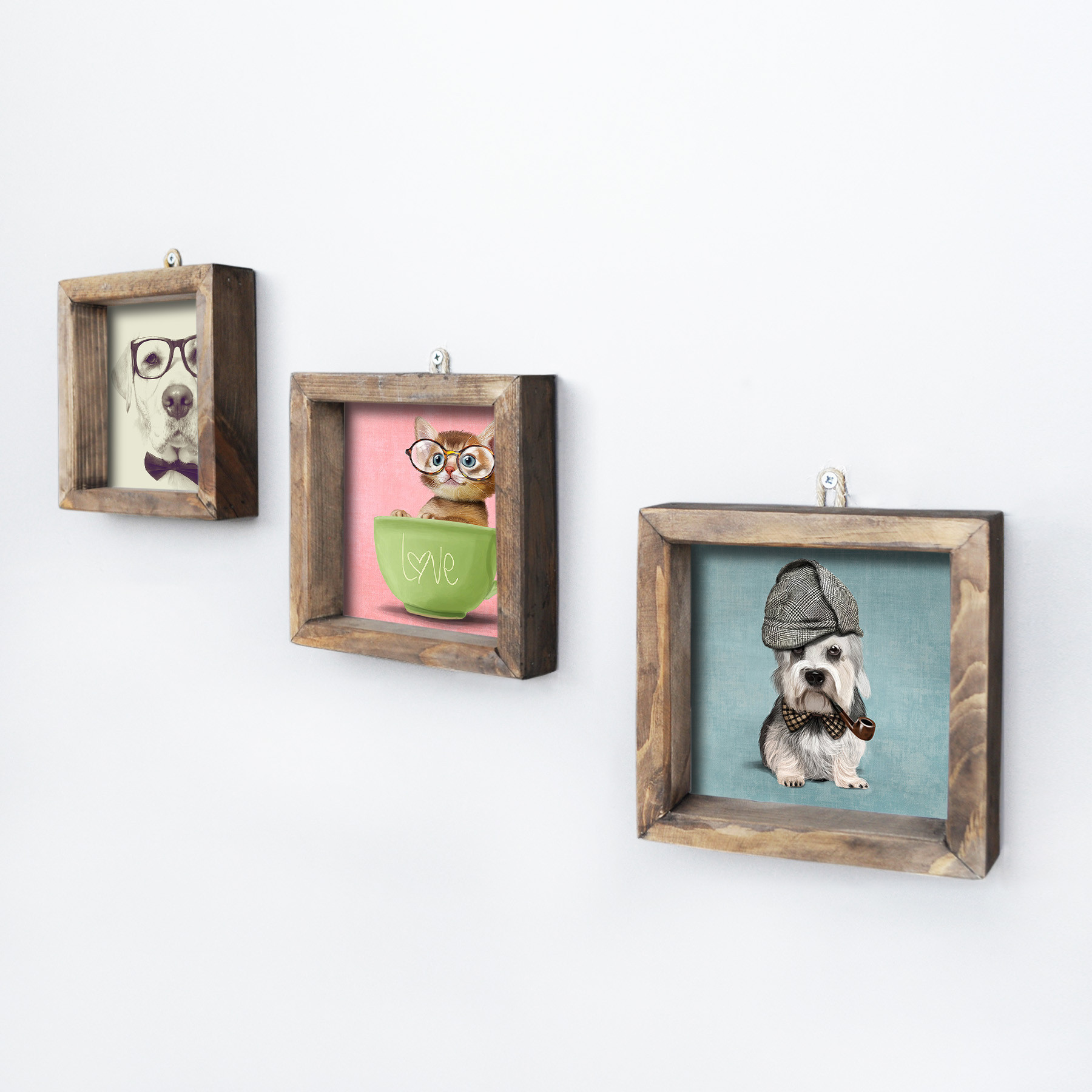 Assortimento di 3 immagini quadrate cani gatto Aranea MDF Pin Multicolore